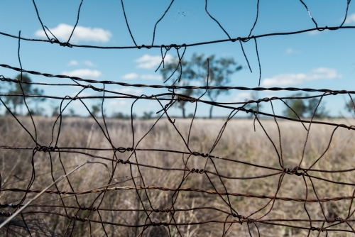 Looking through a wire fence - Australian Stock Image