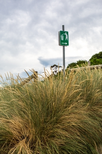 Looking through dune grass to a no littering beach sign - Australian Stock Image