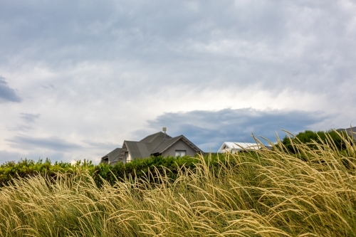 Looking through dune grass to a suburban house