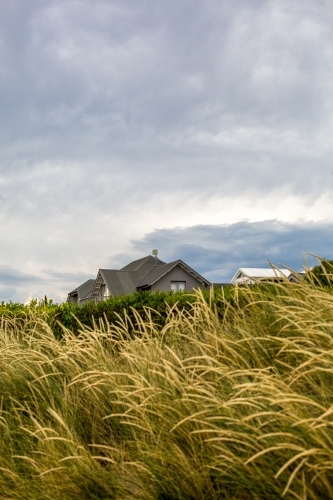 Looking through dune grass to a suburban house - Australian Stock Image