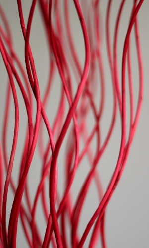 Looking through wavy red sticks - Australian Stock Image