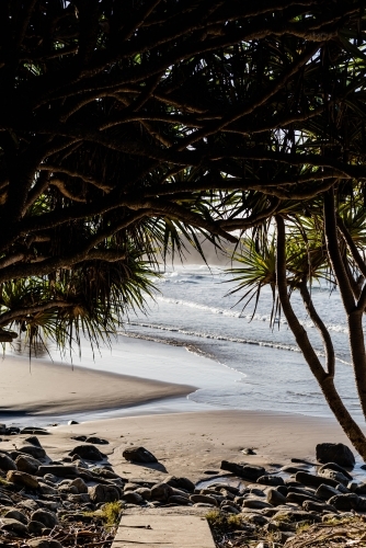 Looking under tree canopy to beach - Australian Stock Image