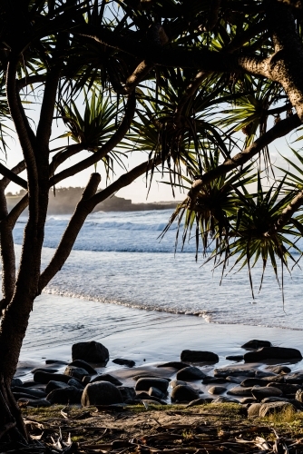 Looking under tree canopy to beach - Australian Stock Image