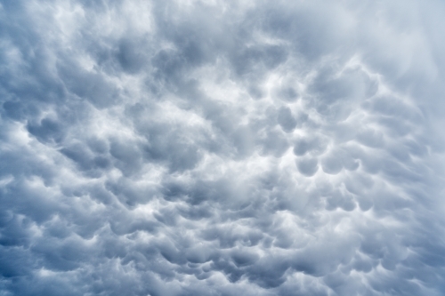 Looking up at patterns of mammatus clouds - Australian Stock Image