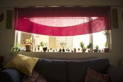 Lounge window with indoor plants