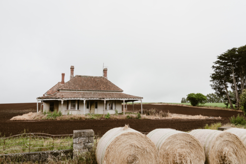 lovely old farm house in the middle of a farmed field with round hay bales along the front fence - Australian Stock Image
