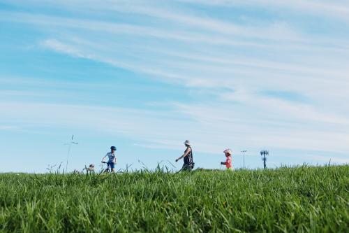 Low view of family out for a walk / ride - Australian Stock Image