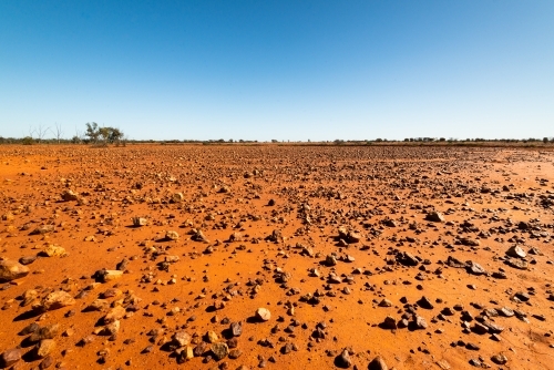 Low view of stony desert country with gibbers, orange soil and clear blue sky