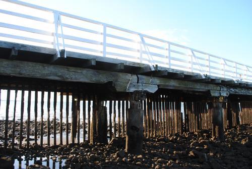 Low view of wooden pier at low tide - Australian Stock Image