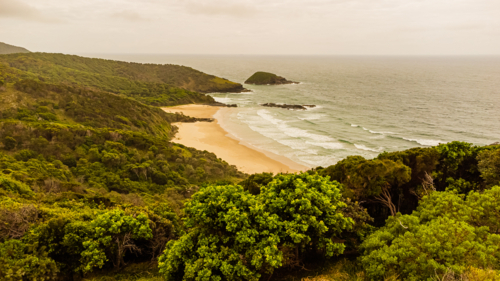 lush green coastal hills overlooking sandy beach - Australian Stock Image