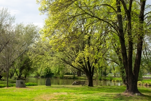 Lush green trees and grass  along the Tumut river