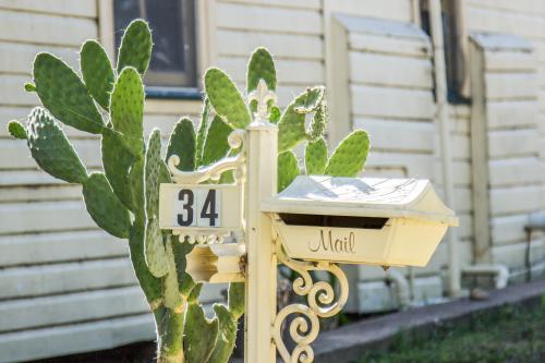 Mailbox with a prickly pear plant growing next to it - Australian Stock Image