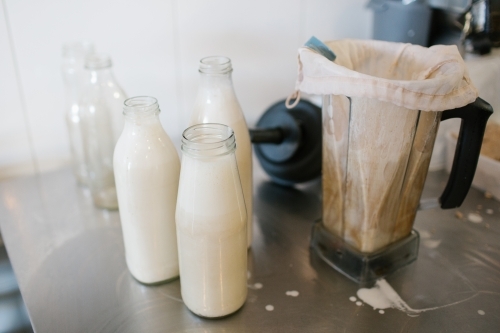 Making almond milk- horizontal image of blender and glass bottles of almond milk - Australian Stock Image