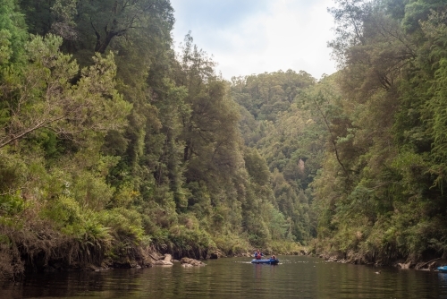 Man and child on kayak on river surrounded by forest - Australian Stock Image