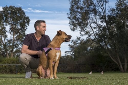 Man and Crossbreed Dog Squatting in Park looking into Distance - Australian Stock Image