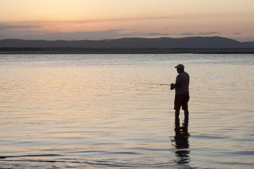 Man fishing in shallow water at dusk - Australian Stock Image