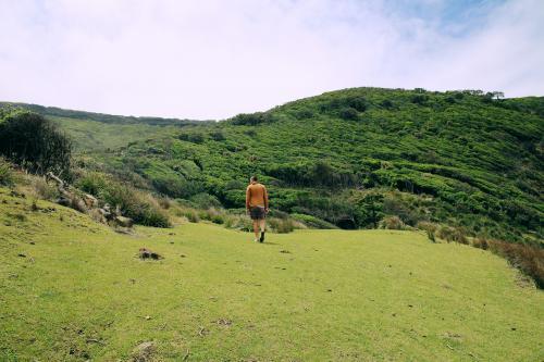 Man Hiking on Grassy Slope - Australian Stock Image