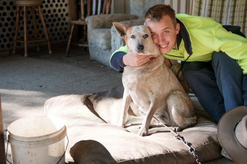 Man hugging a Red Heeler - Australian Stock Image