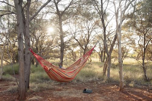 Man in hammock in australian bush at sunrise - Australian Stock Image