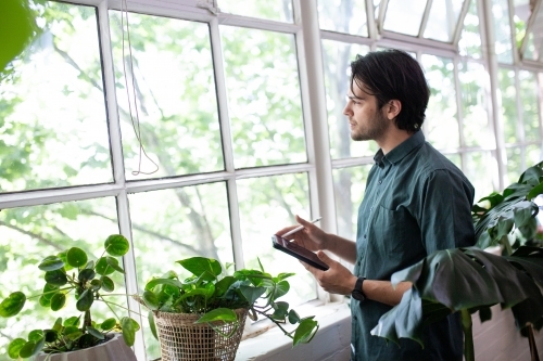 Man looking through paned glass windows in creative studio space - Australian Stock Image