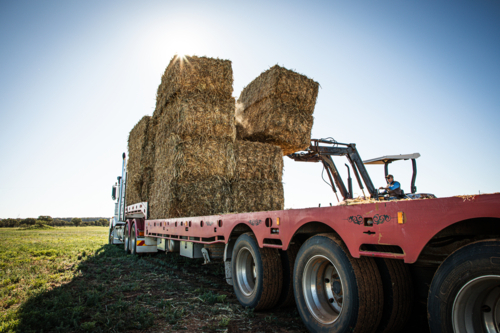 Man on a tractor unloading hay from a truck on farm - Australian Stock Image