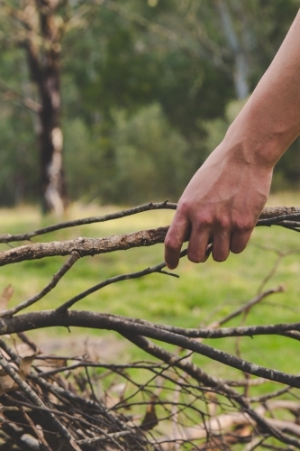 Man placing branch on camp fire kindling pile in outback - Australian Stock Image