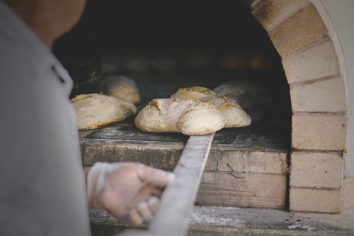 Man pulling out freshly baked bread from wood oven.