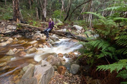 Man relaxing in rainforest by a clear flowing stream - Australian Stock Image
