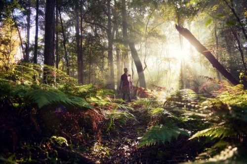 man resting on morning run in the Woods - Australian Stock Image