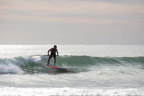 Man riding wave on paddleboard, backlit - Australian Stock Image