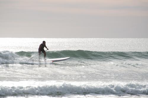 Man riding wave on paddleboard in glistening ocean - Australian Stock Image