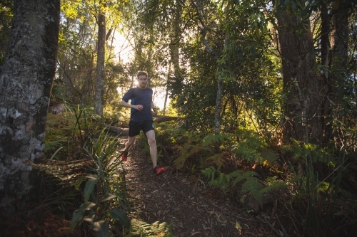 Man running on dirt path in bushland - Australian Stock Image