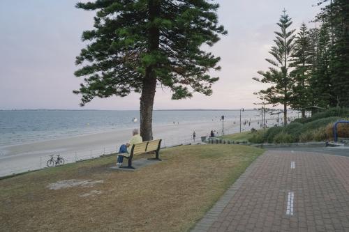 Man sitting at park bench taking in the view over the bay - Australian Stock Image