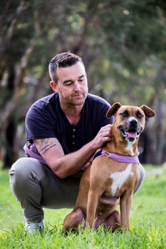 Man sitting behind large crossbreed dog patting dog - Australian Stock Image