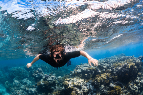 Man snorkelling with corals on a sunny day on the Great Barrier Reef - Australian Stock Image
