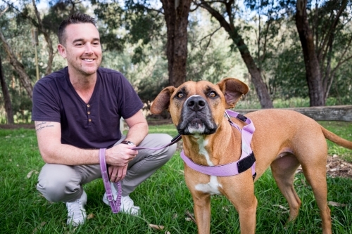 Man squatting behind dog smiling at dog outside - Australian Stock Image