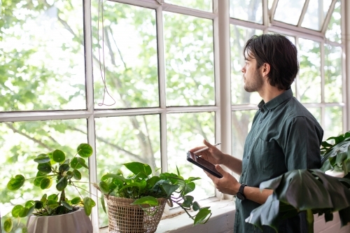 Man standing with device looking through paned windows with plants on windowsill - Australian Stock Image