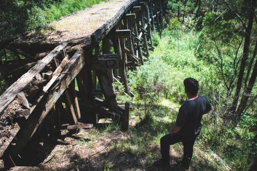 Man surveying old trestle bridge
