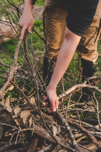 Man using hands to break up timber sticks for camp fire kindling in afternoon - Australian Stock Image