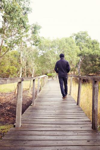 Man walking away along a wooden footbridge in Victorian bushland