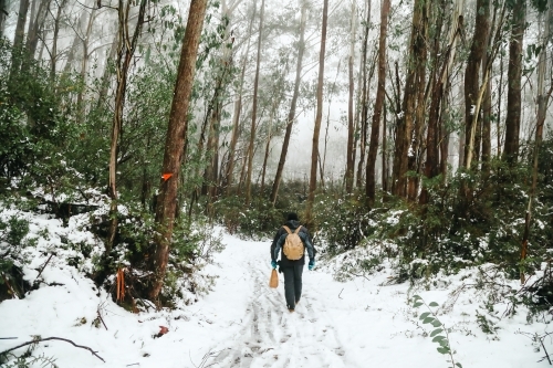Man walking through the snow in Australia's alpine region wearing backpack - Australian Stock Image