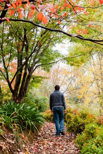 Man walking up path covered in autumn leaves in Alex Stockwell Gardens