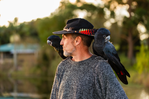 Man with black cockatoo feather in hat with pet birds on shoulders - Australian Stock Image