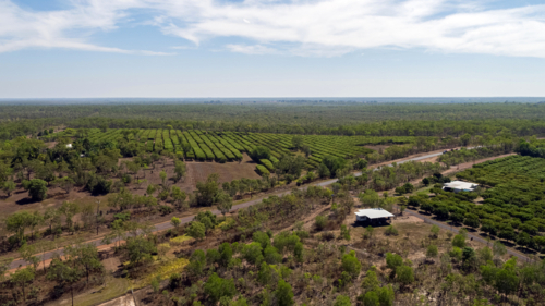 Mango farming drone view over landscape - Australian Stock Image