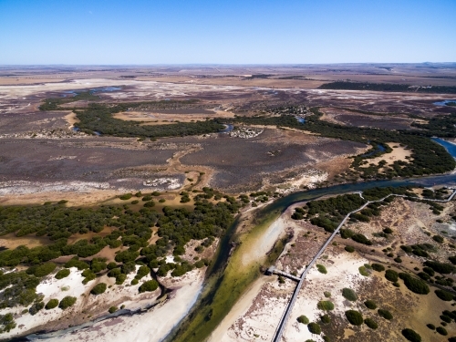 Mangroves on tidal estuary - Australian Stock Image