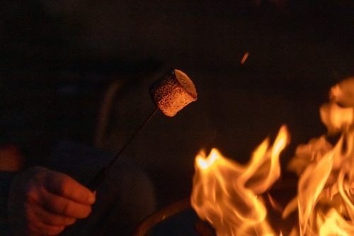 Marshmallow and firepit - Australian Stock Image