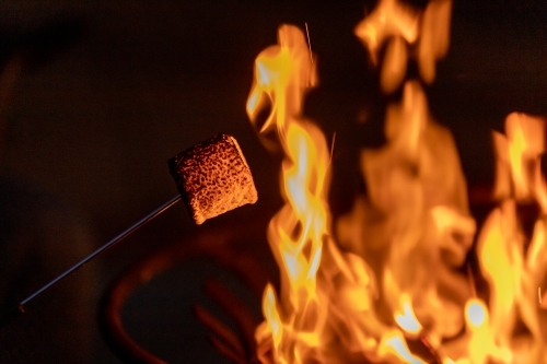 Marshmallow and firepit - Australian Stock Image