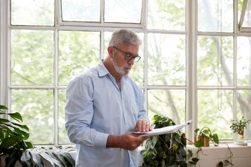 Mature businessman standing, reading near a paned window in open plan office - Australian Stock Image