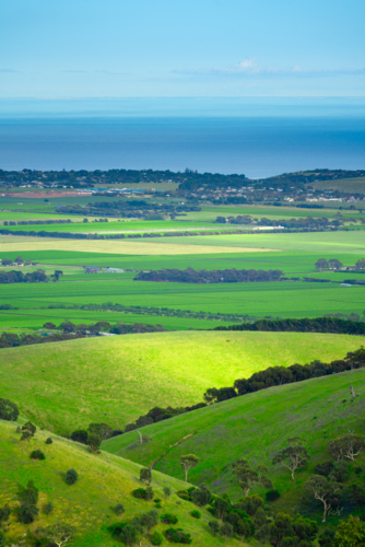 Mclaren Vale in South Australia - Australian Stock Image