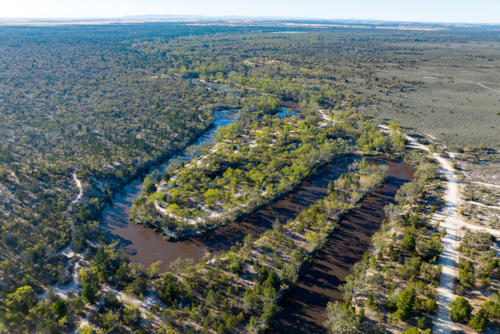 Meandering river channels weaving through forested floodplain under clear skies - Australian Stock Image